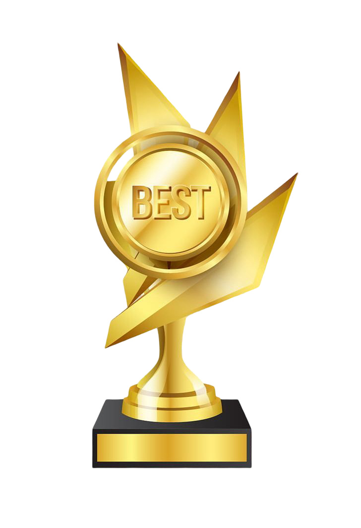 Trophée AfroBiz Awards